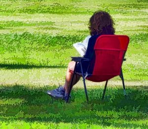 CC0 from https://www.publicdomainpictures.net/en/view-image.php?image=248401&picture=woman-reading-book-in-the-park